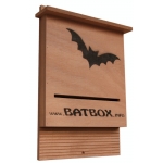 BatBox Media