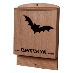BatBox Mini
