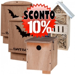 Offerta Kit-1