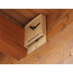 BatBox Mini